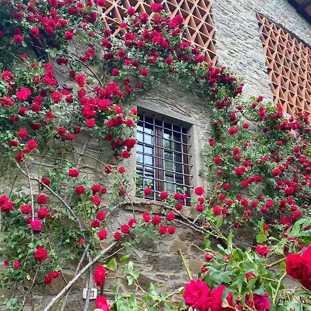 Il Nido - Private Villa With Pool And Jacuzzi * Castelnuovo di Garfagnana