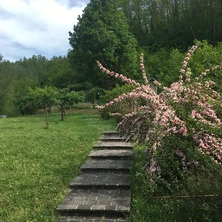 Holiday home Il Nido - Private Villa With Pool And Jacuzzi Castelnuovo di Garfagnana